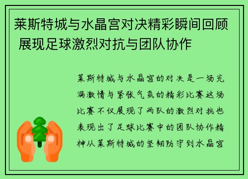 莱斯特城与水晶宫对决精彩瞬间回顾 展现足球激烈对抗与团队协作